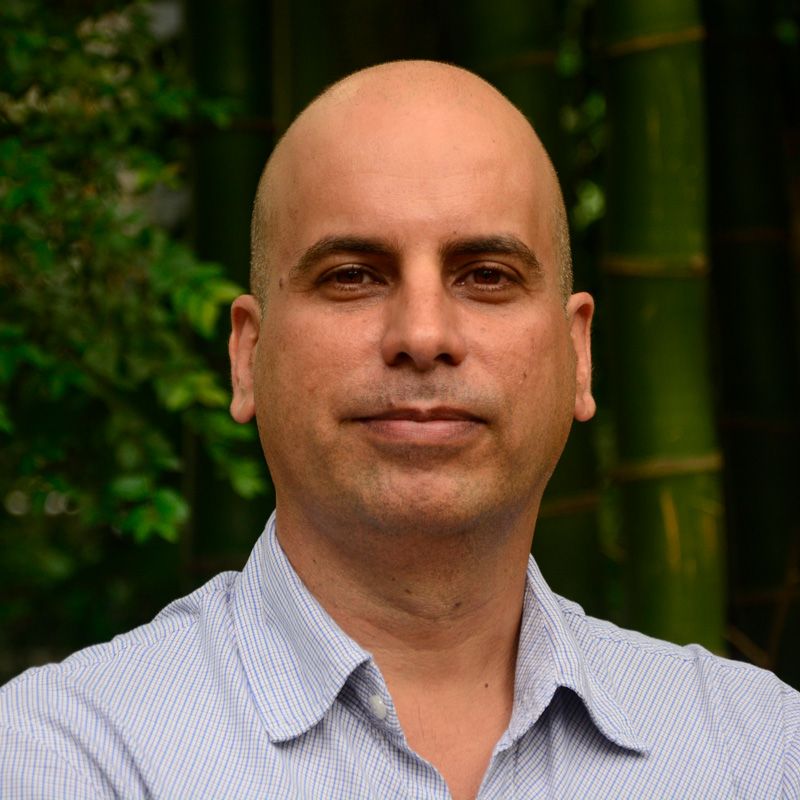 Arthur Cézar de Araújo Ituassu Filho
